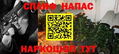 Альфа ПВП Моздок