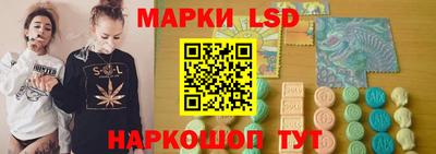 Альфа ПВП Моздок