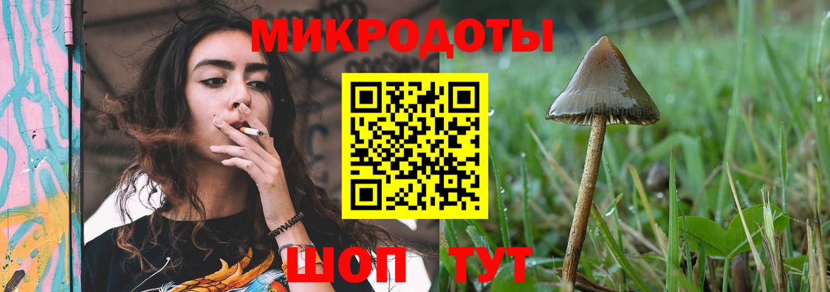 Галлюциногенные грибы ЛСД  Псилоцибиновые грибы мицелий  даркнет сайт  Вход с VPN  Тайшет 